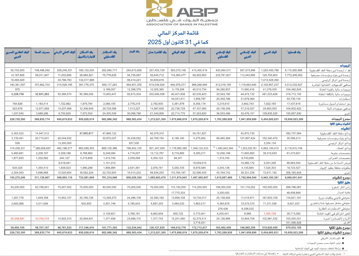 البيانات المالية النصف سنوية 2025